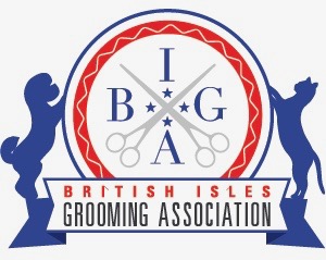 mybiga-logo-banner-side 2